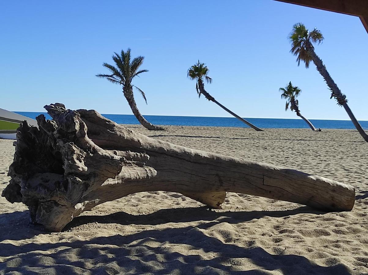 Vue Mer Panoramique Wifi Gratuit Le Barcarès Exterior foto